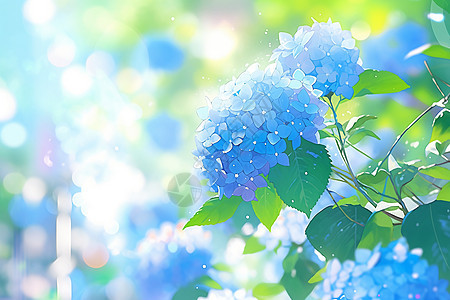 蓝色绣球花图片