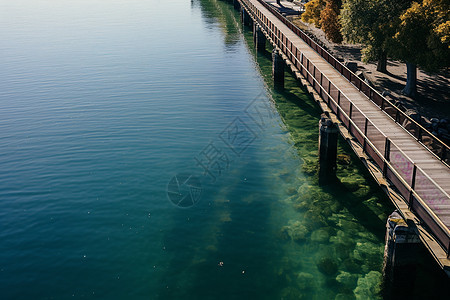 夏季湖畔公园的美丽景观图片