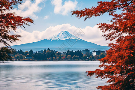 雪日本秋日富士山背景