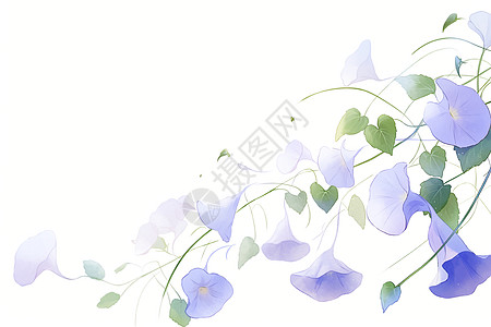 美丽的鲜花插画背景图片