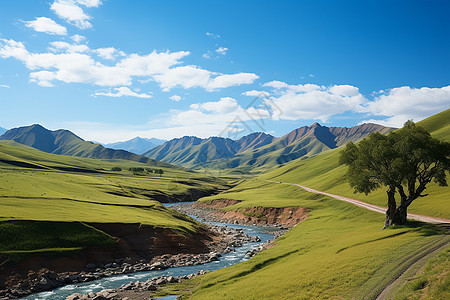 高山上的小溪流背景图片