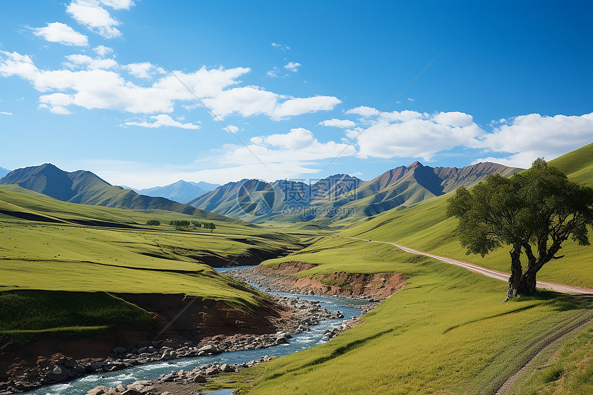 高山上的小溪流图片