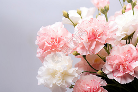 春意盎然美丽的花束高清图片