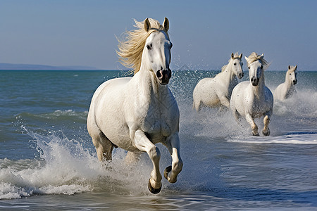 海上狂奔的白马图片