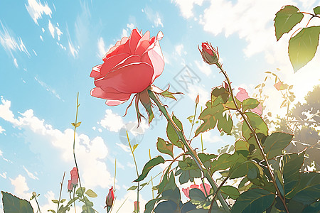 阳光下的玫瑰插画