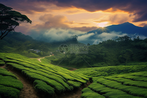 夕阳下山脉美景图片