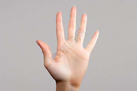 五指张开的手掌图片