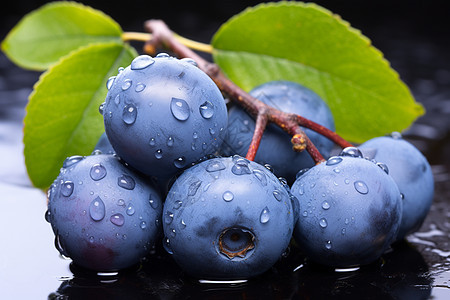 蓝莓的味道图片