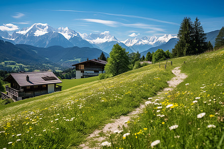 山坡上的小屋山峦上的小屋和花草背景