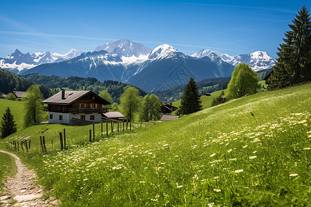 山坡上的小屋和花草图片