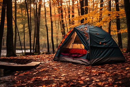 秋林中的帐篷图片
