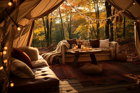 寂静丛林里的帐篷图片