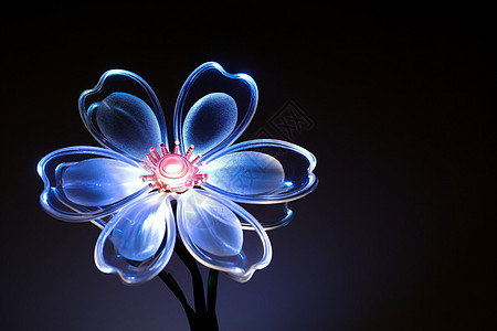 蓝色花朵的光影图片