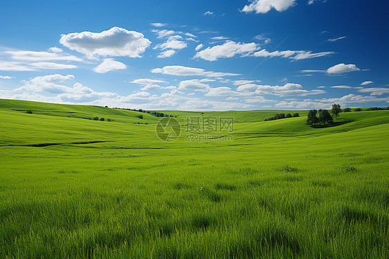 田园中的风景图片