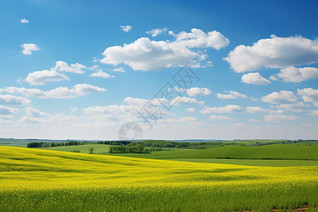 白云间的农田图片