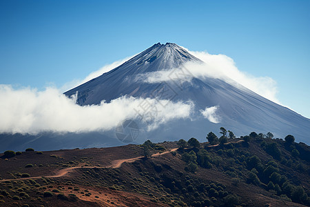 火山之巅图片