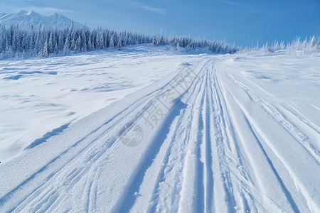 雪地痕迹图片