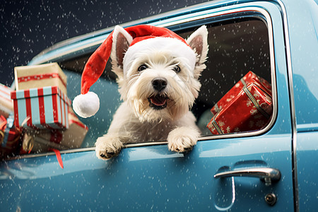 老式汽车里的圣诞小狗背景图片
