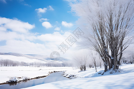 冬季雪后美丽的山间河流景观图片