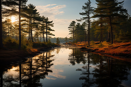 秋季平静的林间溪流图片