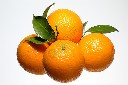 新鲜多汁的柑橘背景图片