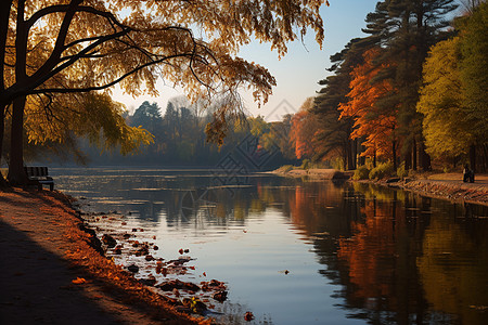 秋色湖畔的美丽景观背景图片