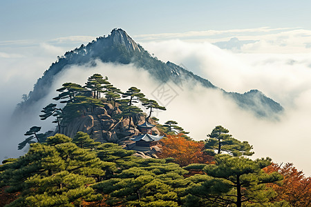 中国景色中国华山上的美丽景色背景