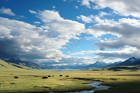 风景优美的蒙古牧场景观图片