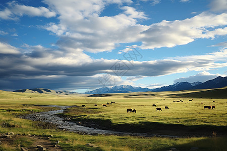 夏季蒙古牧场的美丽景观高清图片