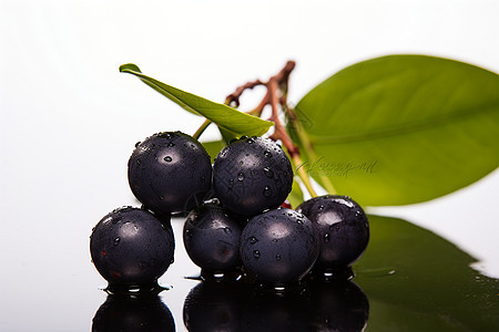 新鲜采摘的巴西莓浆果图片