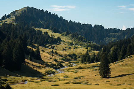 清澈溪水山中溪水翠绿树木的美丽景观背景