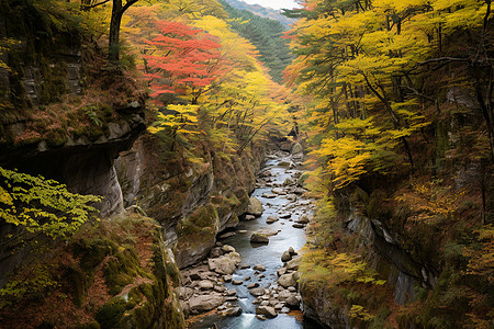 秋色溢彩的自然风景背景