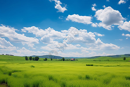 乡村美景背景图片