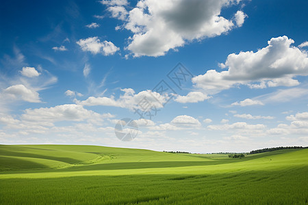 美丽的草地天空背景图片