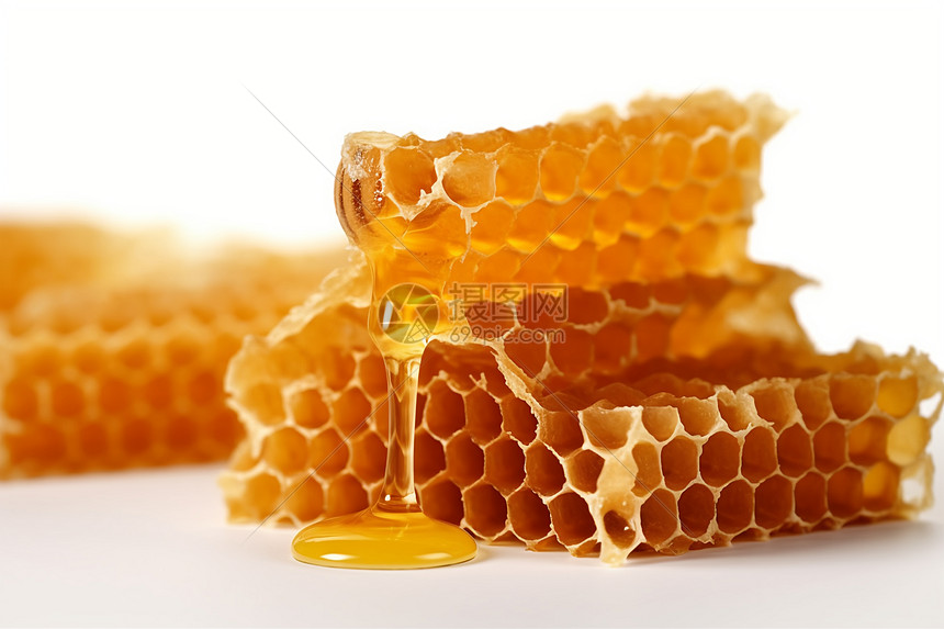 蜂巢上沾满蜂蜜图片
