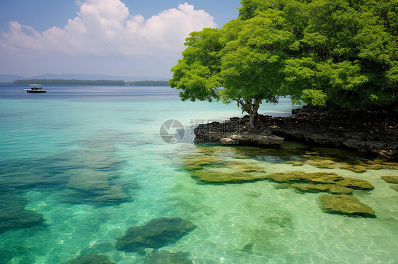 海中岛屿清澈的海水图片