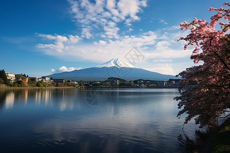 夕阳风景富士山之美背景