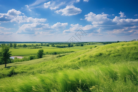 美丽自然的青青草地景观图片