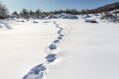 冬季雪地里面的脚印高清图片