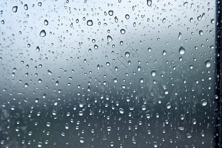 雨中的水滴图片