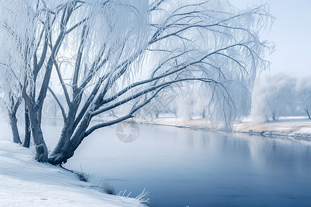 河边的霜雪树木背景