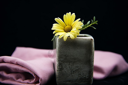 典雅花盆中的雏菊装饰图片
