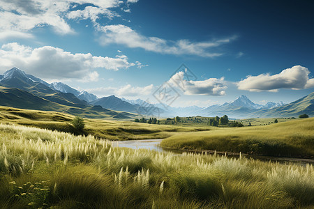 草原与自然风景图片
