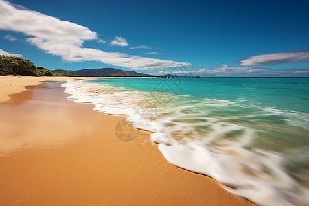 夏威夷海滩夏威夷的海滩背景