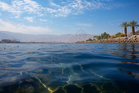 海水湖水红海下的珊瑚礁背景