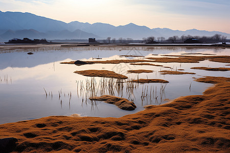 高海拔的湿地背景图片