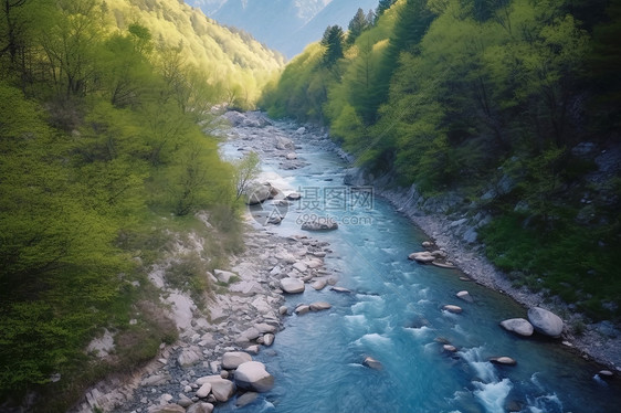 夏季山谷间潺潺的流水图片