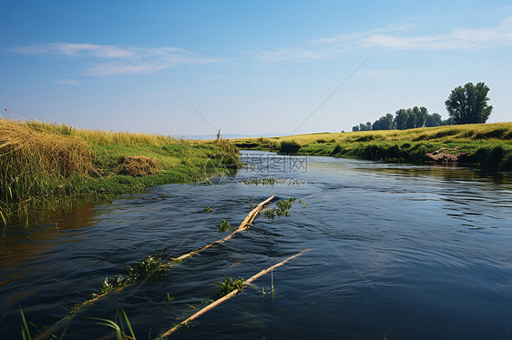 清新的自然河流图片