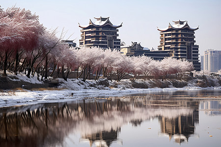 河畔边的建筑物图片