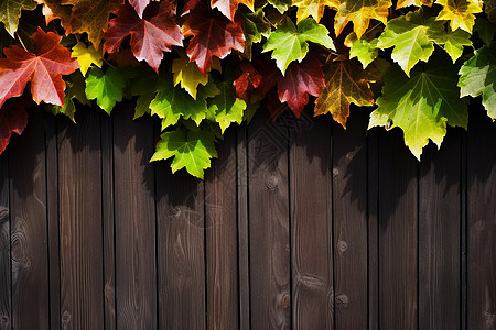 秋叶覆盖下的木栅栏图片